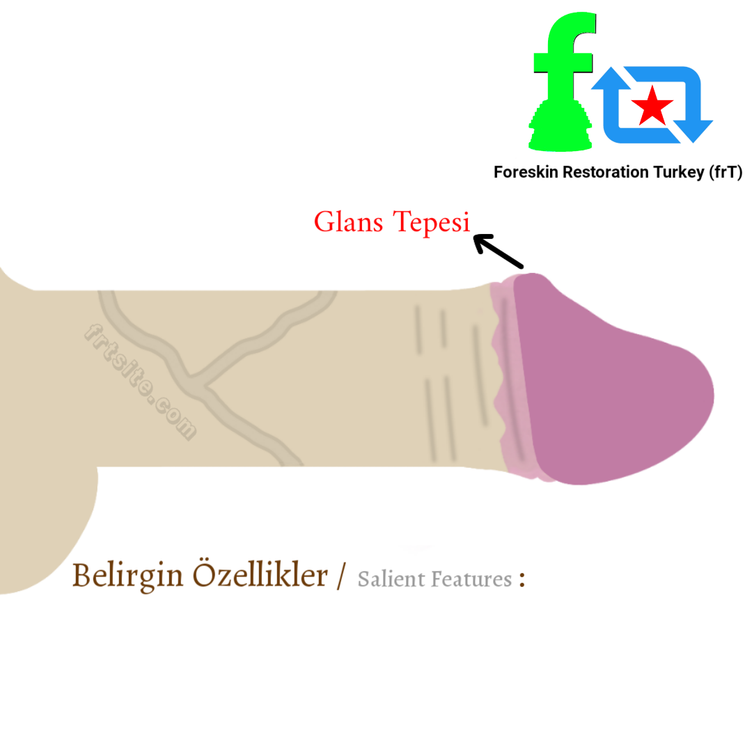 Sünnet derisi restorasyonu ilerleme tablosu